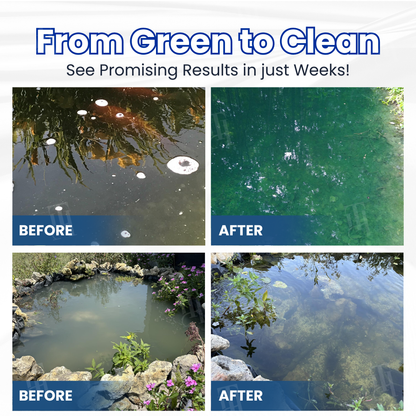 Rekulo® Aqua-Guardian Pro Formula🐟 From Swampy Green to Crystal Clear – Without the Chemicals